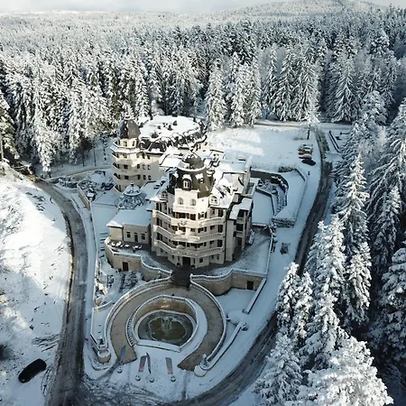 Festa Winter Palace Hotel Boroveț