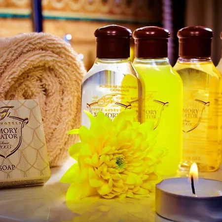 Festa Winter Palace 5*