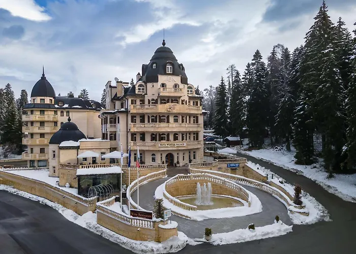 Festa Winter Palace Borowec