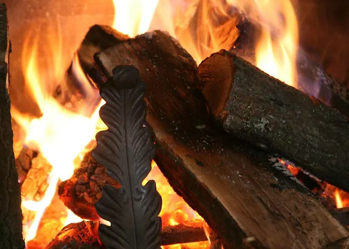 Festa Winter Palace Hotel