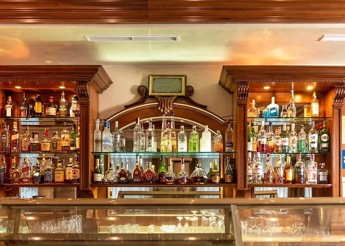 Festa Winter Palace 5* Borowec